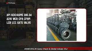 API & ASME B. Gate Check Globe Valve - Leading Manufacturer in China