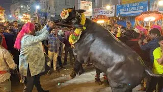 Khairatabad Sadar 2020 | Sadar Festival 2020 Special Attraction RANA Buffalo at Sadar Sayyata 2020