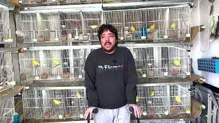 PREPARACIÓN A LA CRÍA 2024 | CALENTAMOS MOTORES😊🐥