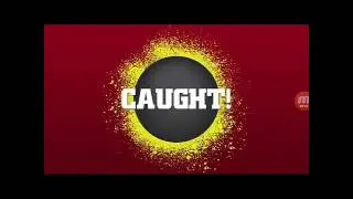 Big Bash 2016 game android and ios gameplay