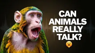 Can animals really talk like humans? |Smartest Animals That Sound Just Like Us! 🎙️🐾