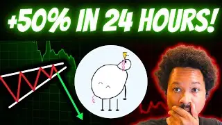 Pippin Coin Might DUMP SOON At This NEXT Resistance