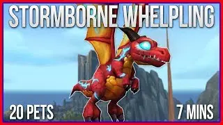 Stormborne Whelpling | EZPZ Goldmaking 20 Pets in 7 Minutes