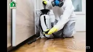 Rats Control in Geelong | Rats Control Geelong | Geelong Rats Control