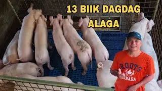Bumili tayo ng biik kay pareng athan at randy sa kabilang barangay 
