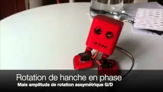 Bob the biped walking and turning with sinus
