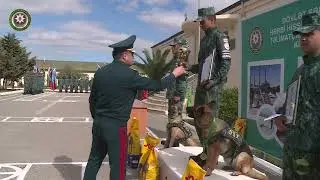 DSX-nin Kinoloji mərkəzində yarışlar keçirilib