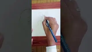 The duct system of liver, gall bladder and pancreas