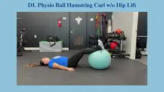 DL Physio Ball Hamstring Curl w/o Hip Lift