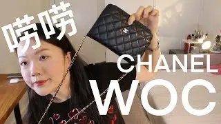 Chanel Wallet On Chain WOC Review 用了8年的包包测评｜唠唠优缺点，Chanel price increase因为不停涨价造成的保值，小废包中的战斗机【大琳DALIN】