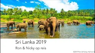2019 Sri Lanka (Dutch)