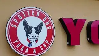 Welcome To Spotted Dog Yoga & SUP