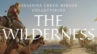 Wilderness Collectibles - Assassins Creed: Mirage - With Time Stamps