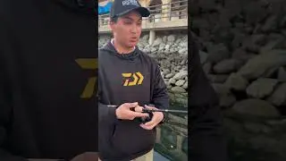 Spotted bay bass. What&rsquo;s the right tackle?