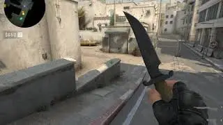 Counter strike  Global Offensive tupa low $kill
