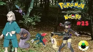 pokemon version &Eacute;clat pourpre nuzlocke challenge #25 Le puits Ramoloss d'Ecorcia