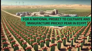 For a national project to cultivate and manufacture prickly pear in Egypt