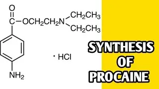 Synthesis of procaine || Procaine synthesis in easy way ||