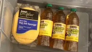 🌲12 Days of Pine 🌲DG Pine + New Sponge