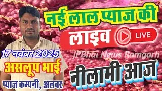 प्याज़ के होलसेल भावों में आई आज मामूली तेजी अलवर प्याज़ मंडी राजस्थान। Onion Rate Today Alwar Raja