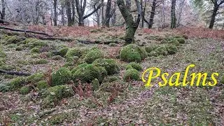 Psalm 9 - Paul