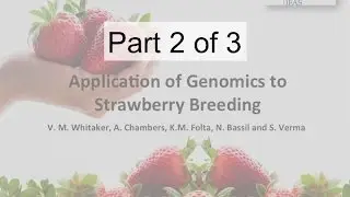 Application of Genomics to Candidate Gene ID and Marker Development