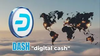 Dash: Kaufen oder lieber Finger weg? Die schnelle Antwort!