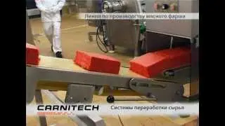 Глубокая Переработка Мяса, фирма CARNITECH A/S, Дания