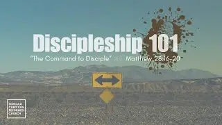 Discipleship 101: The Command to Disciple