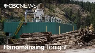 U.S. increases softwood lumber fees on Canada to 35.19% | Hanomansing Tonight