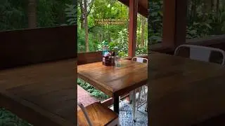 Hideen Gem In Bangalore | Cafes In Bangalore | Citrus Farm & Kitchen