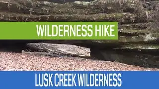 Hiking Lusk Creek Wilderness in the Shawnee National Forest