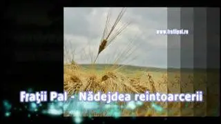 FRATII PAL - Nadejdea reintoarceri