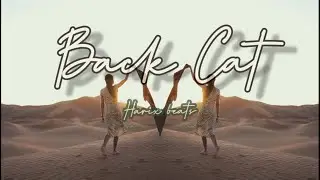 ''BLACK CAT'' - HARIX BEATS || TRAP ESSENTIALS || NEO SOUL MIX || LOCK-DOWN SPECIAL || 2020