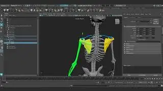Rigging with Advanced Skeleton - Part 82 - Upper torso PSD plan overview