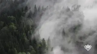 Hazy J - Silver