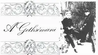 A Geths&eacute;mani - Famous Collector [Live] (1989, Synthpop / Darkwave)