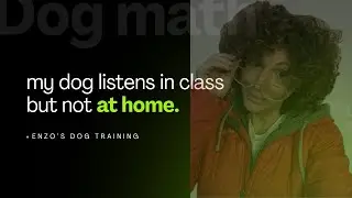 Why do you struggle at home with your dog but not in training class?