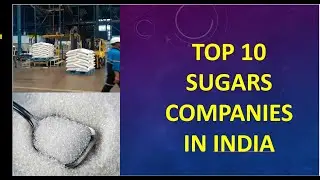 top sugar sector companies in 2024 | top 10 sugar companies 2025 | top sugar producers | CE Mania