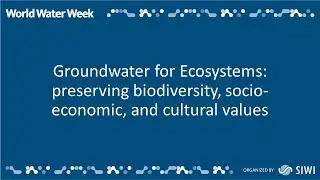Groundwater for Ecosystems: preserving biodiversity, socio-economic, and cultural values