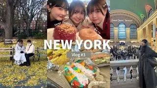 ニューヨーク爆食旅🍔❤️70階の展望台から見下ろすNYの圧巻の夜景に感動😳幸せすぎる2日間✨️