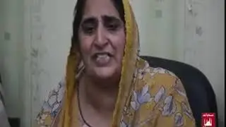 MURRE INCIDENT