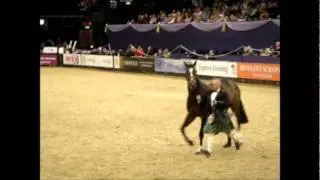 The Cuddy At Hoys 2011