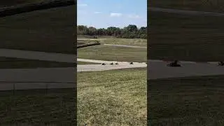 Go Robert Go!!!
