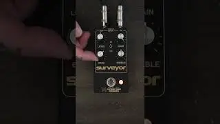 Some Surveyor Sounds