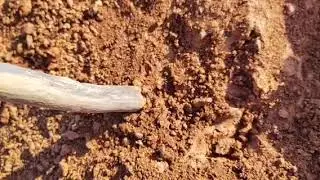 Douglas Diamond Digging