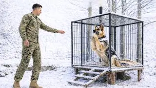 Abandonné Dans Une Cage En Acier, Ce Berger Allemand Allait Mourir — Un Navy SEAL Évite Le Pire