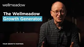 SME Customer Journey: The Wellmeadow Growth Generator