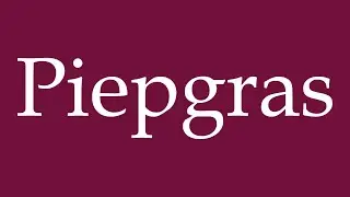 How to Pronounce ''Piepgras'' Correctly in German