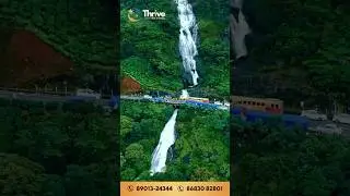 Exploring vagamon | travel guide | Kerala's best kept secret #short